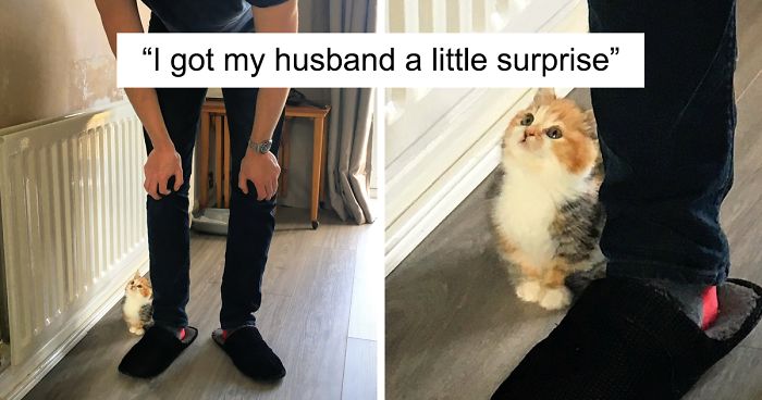 40 Adorable Pets Gazing At Their Owners That Are Melting Hearts